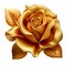Rose Flower Gold Elegance: Floral Illustration.