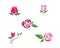 Rose flower Logo Template