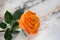 Rose flower with orange petals on white marble background