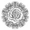 Rose flower over mandala. Tattoo flash. Highly detailed vector i