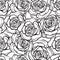 Rose flower seamless pattern. Outline black roses on white background. Stock vector.