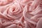 Rose flower on a waved draped soft pink silk fabric. Texture horizontal copy space background