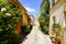 Rose flowers alley in rions village in Gironde France