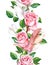 Rose flowers and feathers frame. Seamless repeating floral border. Watercolour