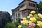 Rose flowers at the Holy Monasteries of Meteora. Greece, Kalambaka