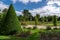 Rose garden in the Bagatelle park - Paris, France