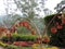 Rose Garden in Munnar, Kerala, India