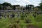 Rose garden in Rome, Aventino Hill