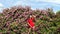 Rose garden. Spring woman in flower park. Girl with roses bush. Summer nature.