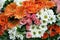 Rose gerbera daisy chrysanthemum