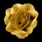 Rose gold flower on the black isolated background with clipping path. no shadows. Closeup.