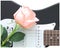 Rose guitar