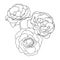 Rose hand drawn illustration in vecor. Sketches, line art