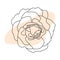 Rose hand drawn illustration in vecor. Sketches, line art