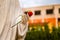 Rose in hand of Our Lady of Medjugorje