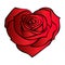 Rose hart vector flower Red cartoon illustration 02