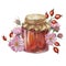 Rose hip jam in glass jar with canvas fabric lid and twine rope bow. German fruit preserve watercolor illustration for