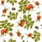 Rose hip seamless pattern