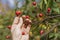 Rose Hips on Branch With Hand. Dog Roses on Green Background.