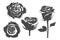 Rose icons, vintage and tattoo style illustrations