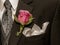 Rose on Lapel