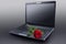 Rose on laptop