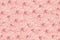 Rose light pink background