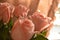 Rose Many Gentle Pink Buds Petals Bouquet Background