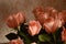 Rose Many Gentle Pink Buds Petals Bouquet Background