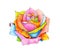 The rose with multi-colored petals is isolated on a white background. Handwork drawing markers. Magic flower illustration