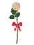 Rose, orange rose, red bow tie on white