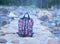 Rose-patterned bag placed on the path, hot springs, natural scenery, calm and peaceful  in nature