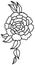 Rose or peony flower bouquet Outline black and white drawing