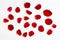 Rose petal isolate on a white background Red design heart