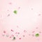 Rose petals falling romance pinck color wedding background blank frame