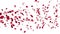 Rose Petals Flying Particles, against white, stock footage