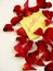 Rose petals with love message
