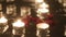 Rose petals next to burning candles, close-up, panorama