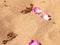 Rose petals on sand as nature background