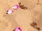 Rose petals on sand as nature background
