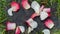 Rose petals, white and pink, on the ground on a flat garden stone