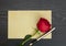 Rose and sheet of paper