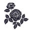 Rose stencil on white background.Vector illustration.