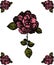 Rose surrounded by four buds of roses. Drawing by hand. Vector.