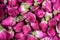 Rose tea - dried rosebuds flowers texture closeup