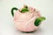 Rose teapot on white background