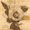 Rose in Vintage Steampunk Da Vinci Drawing Style