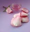 Rose  water, essential oil , with  pink flower and  petals on lilac ,purple background, spa and aromatherapy cosmetic concept, cop