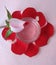 Rose  water, essential oil , with  pink flower and  petals on pink background, spa and aromatherapy cosmetic concept,