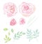 Rose watercolor flowers kit for design.